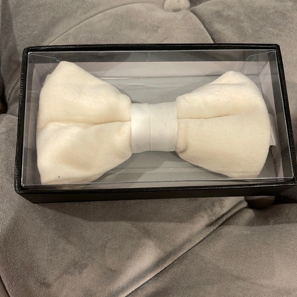 White velvet bow tie